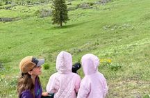 Yellowstone Upper Loop Wildlife Tour in Lamar Valley Bozeman