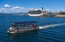 NEW Victoria Harbour 75 min Boat Tour with Tour Guide