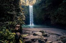 Ubud Private Tour : Tirta Empul, Rice Terraces & Waterfalls