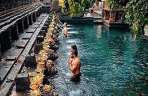 Ubud Private Tour : Tirta Empul, Tegalalang & Waterfalls