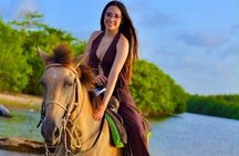Punta Cana Horseback Riding on the Beach with Hotel Pickup