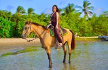 Punta Cana Horseback Riding on the Beach with Hotel Pickup