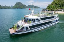 Ha Long Bay 1 Day Best Value Tour–Meal, Kayaking, swimming, Cave