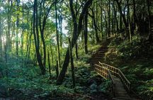 Doi Inthanon Trekking Tour with Kew Mae Pan or Pha Dok Siew