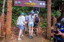Doi Inthanon Trekking Tour with Kew Mae Pan or Pha Dok Siew