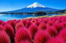 Mt. Fuji, Chureito Pagoda & Lake Kawaguchiko Day Tour from Tokyo