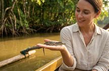 Private Bentota River Safari Boat Tour