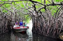 Private Bentota River Safari Boat Tour