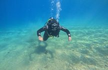 Try Scuba Diving in Split: Small-Group Experience for Beginners