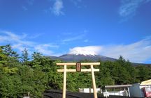 Touch Mt. Fuji at the 5th Station from Shimizu Port