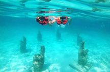 Dream catamaran in Isla Mujeres with buffet snorkel and open bar