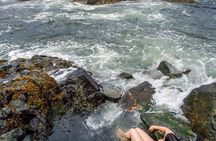 Hot Springs Cove Tour Scenic Boat Ride and Natural Pools