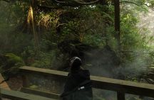 Hot Springs Cove Tour Scenic Boat Ride and Natural Pools