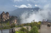 Blue Mountains Private Tour from Sydney: Scenic World & Koalas