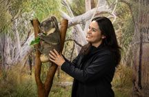 Blue Mountains Private Tour from Sydney: Scenic World & Koalas
