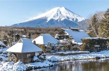 Mount Fuji Full Day Customize Private Tour With English Guide