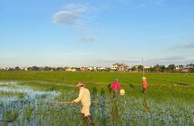 Hoi An Duck Farm Basket Boat and Sunset Cruise
