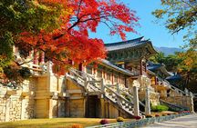 Gyeongju Autumn Foliage & Pink Muhly Tour from Busan