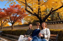 Gyeongju Autumn Foliage & Pink Muhly Tour from Busan