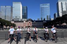 Tokyo Guided E-Bike Tour Hidden Streets and Local Neighborhoods