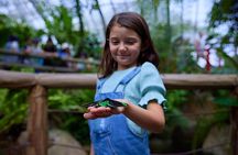 Kuranda Deluxe with Skyrail and Butterflies