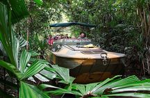 Kuranda Deluxe with Skyrail and Butterflies