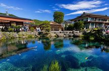 Yokohama Port: Private Mt. Fuji and Lake Kawaguchi Day Tour
