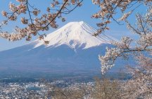 Yokohama Port: Private Mt. Fuji and Lake Kawaguchi Day Tour