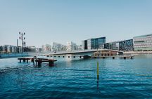 Copenhagen 3 Hour Bike Tour: The World's Most Livable City