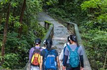 Jungle Hike to Kbal Spean -Holy River & Banteay Srei Private Tour