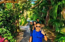 Private Ishigaki Beach Snorkeling and Island Sightseeing Tour