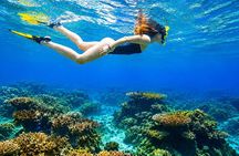 Private Ishigaki Beach Snorkeling and Island Sightseeing Tour