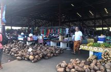 Apia Samoa Full Day Tour Island Highlights
