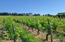 Introduction to Loire Anjou Wines Morning Wine Tasting Tour