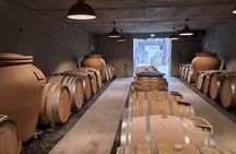 Introduction to Loire Anjou Wines Morning Wine Tasting Tour