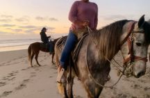 Horseback riding on the beach Rosarito + Transportation