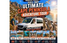 Ultimate Full-Day Cape Peninsula Tour & Guided Snorkel Activity
