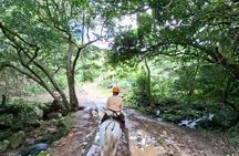 Real Costa Rican horse back riding experience-Rincon de la Vieja