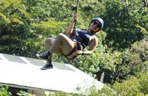 Roatan Combo: Zipline, Monkey & Sloth Sanctuary & Beach Break