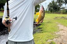 Hilo Shoreline Fishing