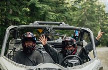 Side-by-Side Off-Roading Adventures on Cougar Mountain