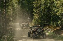 Side-by-Side Off-Roading Adventures on Cougar Mountain