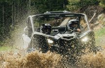 Side-by-Side Off-Roading Adventures on Cougar Mountain