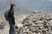 Guided Peak Ascent Hikes near Breckenridge Colorado