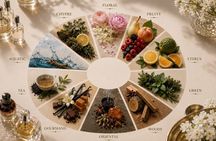 Bespoke Perfume Making Workshop with 150+ Essential Oils
