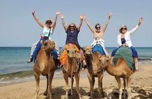 Tangier Private City Tour, Camel Ride & Port Pickup