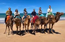 Tangier Private City Tour, Camel Ride & Port Pickup