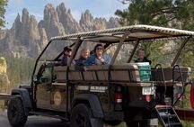 Private Ultimate Open-Top Bison Safari in Custer State Park