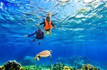 Ishigaki Sea Turtle Snorkeling Tour