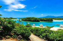 Ishigaki Sea Turtle Snorkeling Tour